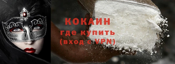 гидра Горняк