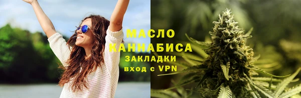 гидра Горняк