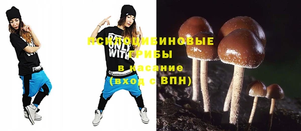 Альфа ПВП Гусев