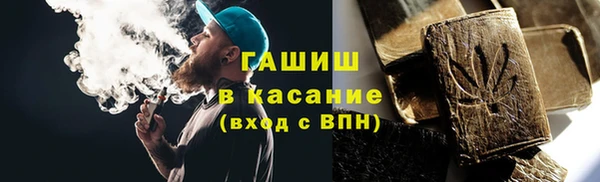 гидра Горняк