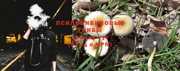 гидра Горняк