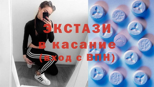 гидра Горняк