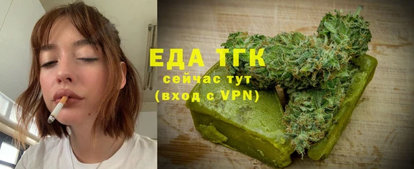 гидра Горняк