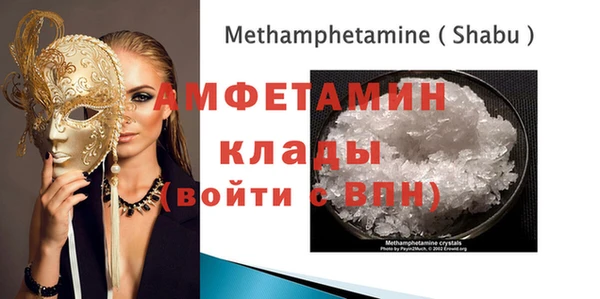 гидра Горняк