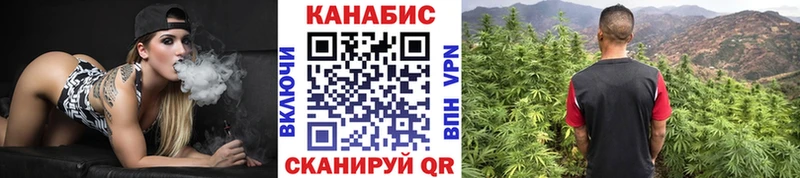Канабис ГИДРОПОН  Купить где  Зима 